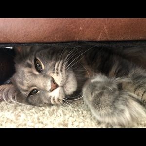 Meet your Posher, Mary